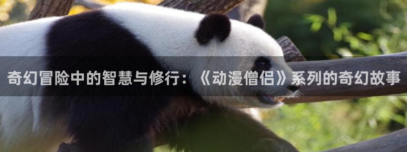 韩漫在线漫画免费观看:奇幻冒险中的智慧与修行:《动漫僧侣》系列的奇幻故事配图