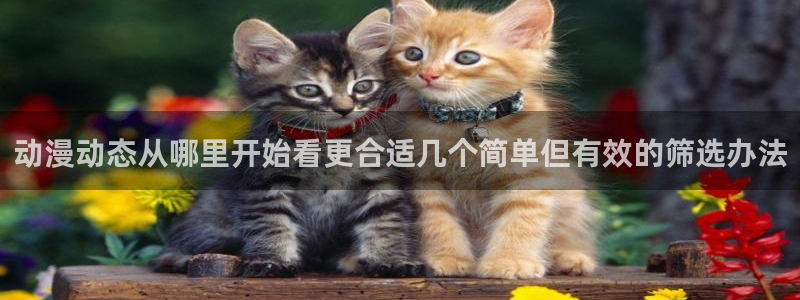 韩漫漫画更新网站：动漫动态从哪里开始看更合适几个简单但有效的筛选办法配图