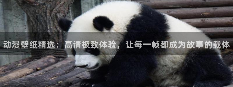 韩漫漫画热门排行榜:动漫壁纸精选:高清极致体验,让每一帧都成为故事的载体配图