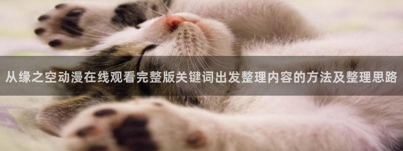 韩漫热门推荐:从缘之空动漫在线观看完整版关键词出发整理内容的方法及整理思路配图
