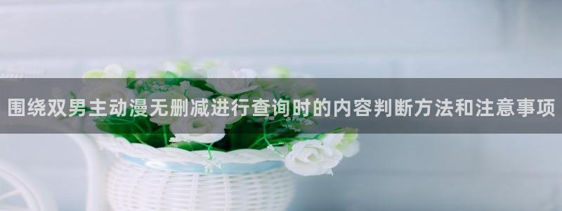韩国漫画网站：围绕双男主动漫无删减进行查询时的内容判断方法和注意事项配图